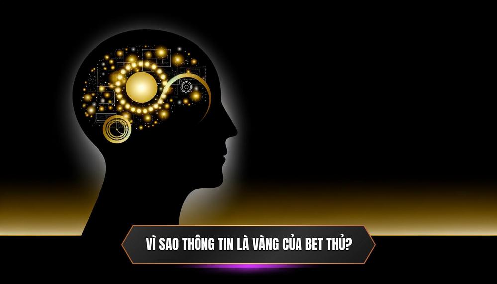 Tại Sao Thông Tin Là Vàng Ròng_ Của Bet Thủ Thế Kỷ 21